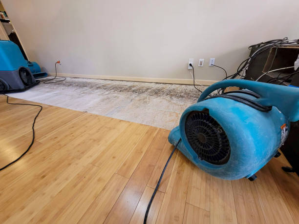 Professional Water Removal technician working in Faxon, OK